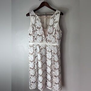 Adrianna Papell Women’s Size 14 Lace Dress